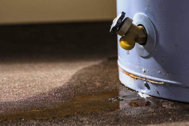 Reliable Pine Ridge At Crestwood, NJ Water damage restoration Solutions