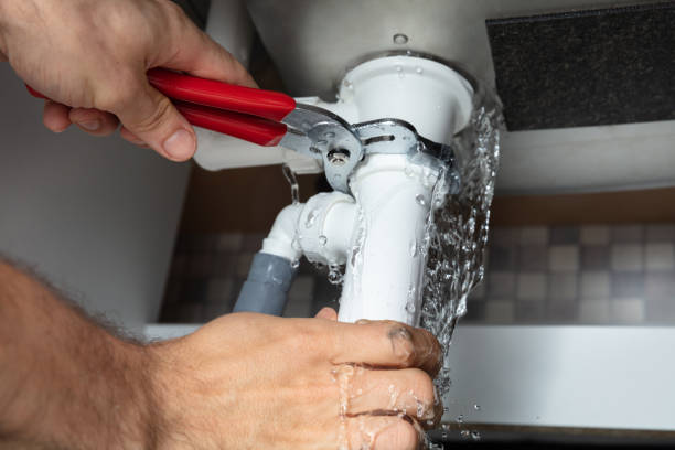 Best Professional water damage repair  in Pine Ridge At Crestwood, NJ