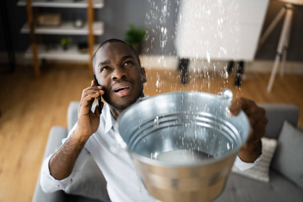 Best Water damage contractors near me  in Pine Ridge At Crestwood, NJ