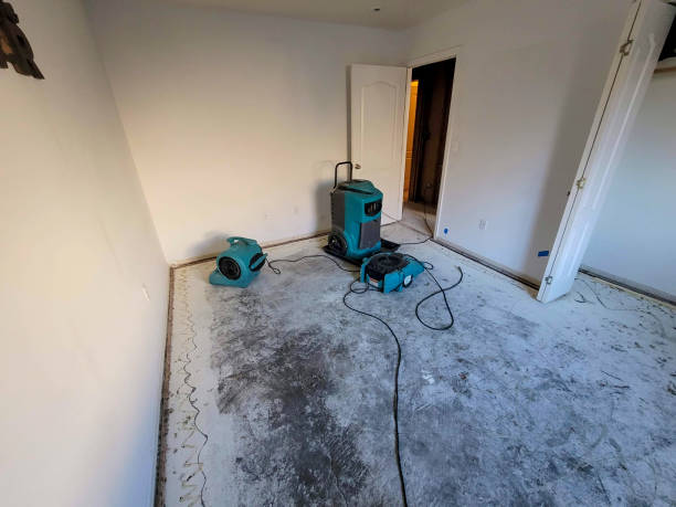 Best Ceiling water damage repair  in Pine Ridge At Crestwood, NJ
