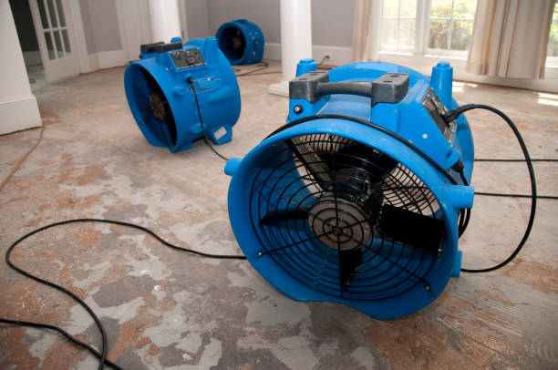 Best 24/7 water damage repair  in Pine Ridge At Crestwood, NJ